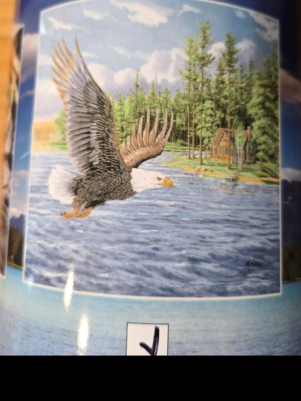 Plush Raschel Throw Blanket 50x60 ~ Eagle in Flight